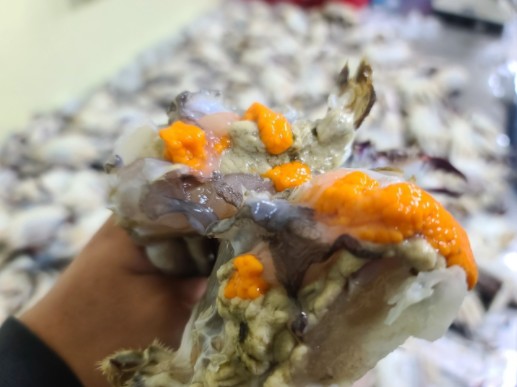 [햇땅] 연평도 활꽃게 알가득 암꽃게 1kg 2kg 5kg