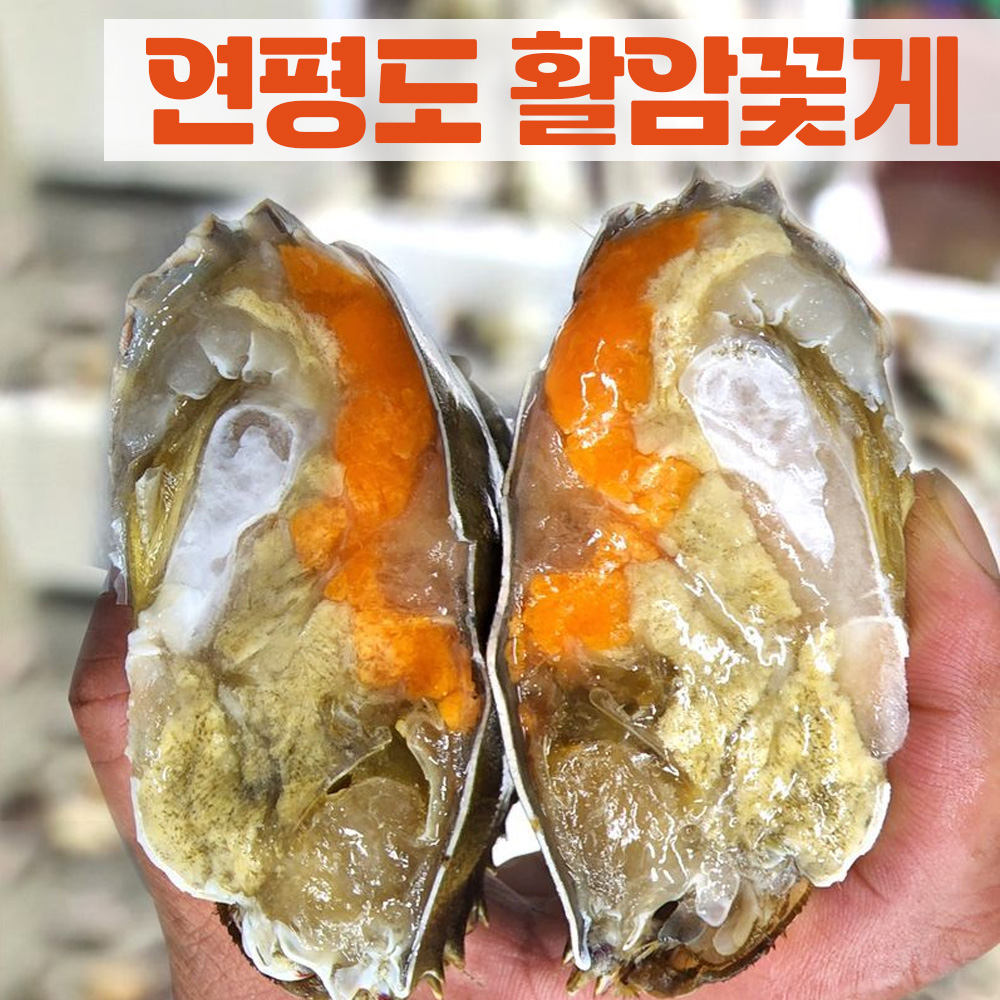 [햇땅] 연평도 활꽃게 알가득 암꽃게 1kg 2kg 5kg 대표이미지 섬네일