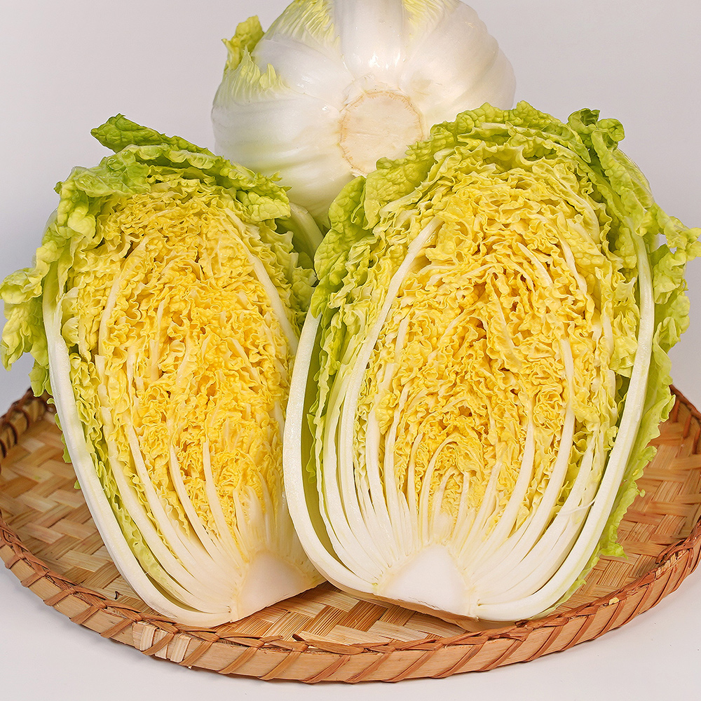 농장직송 국내산 해남 알배추 4kg내외 (5-7포기) 알배기 쌈배추