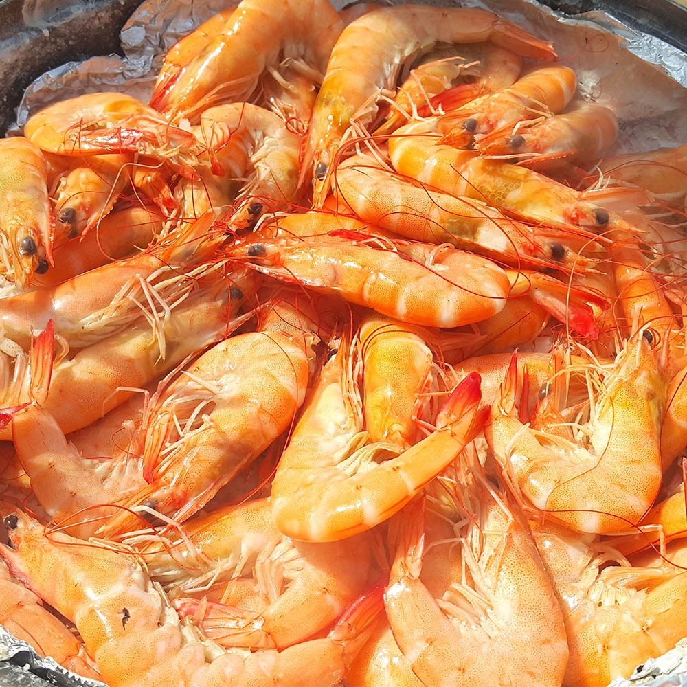 국내 서해안 자연산 새우 대하 1kg 30미