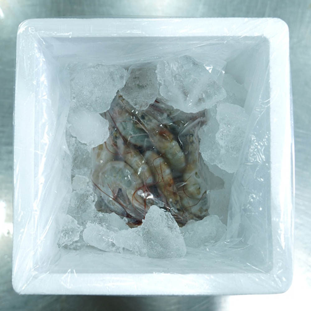 국내 서해안 자연산 새우 대하 1kg 30미