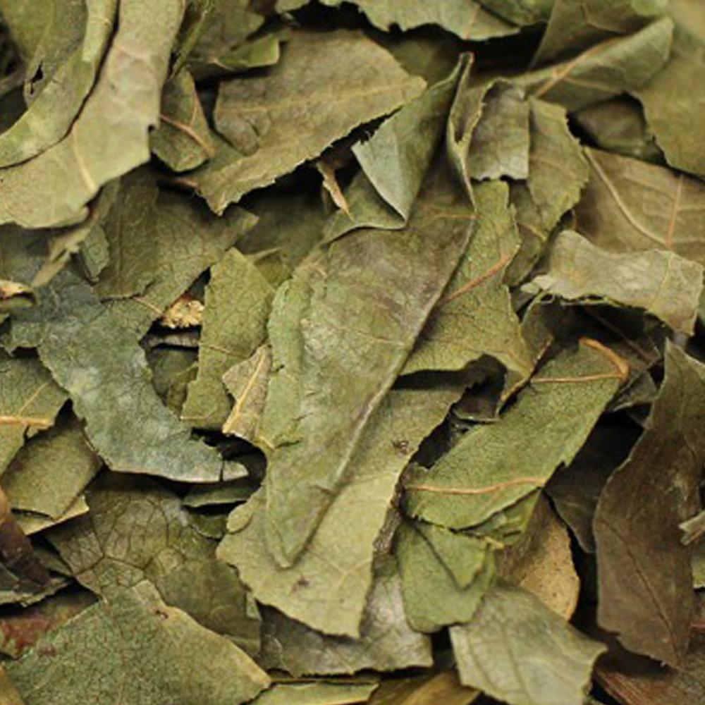 늘해찬 국내산 볶은 감잎차 삼각티백 (1g x 50티백)