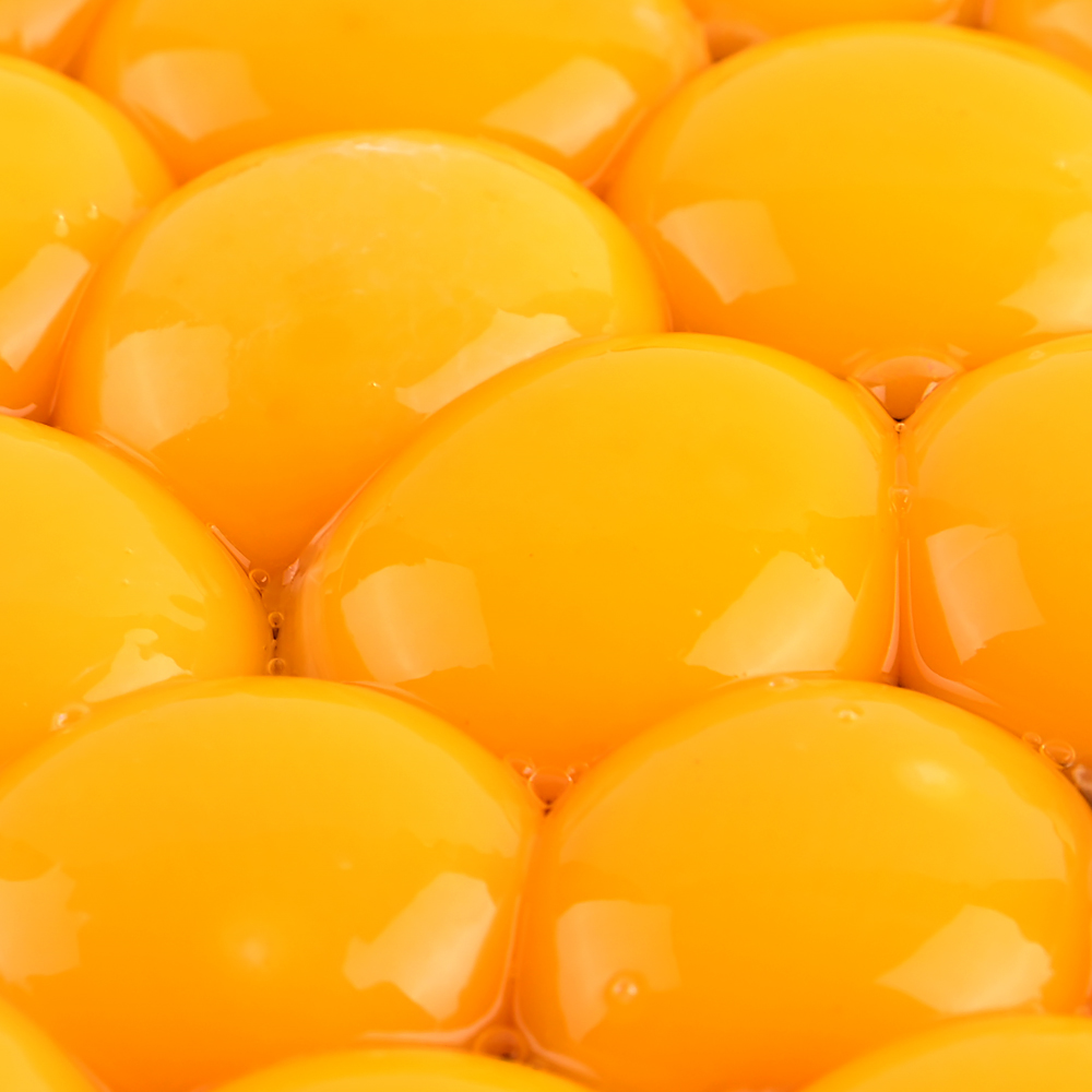 [정기배송] 무항생제 신선 계란 초란 30구 당일생산 출고 [청라상회 ]