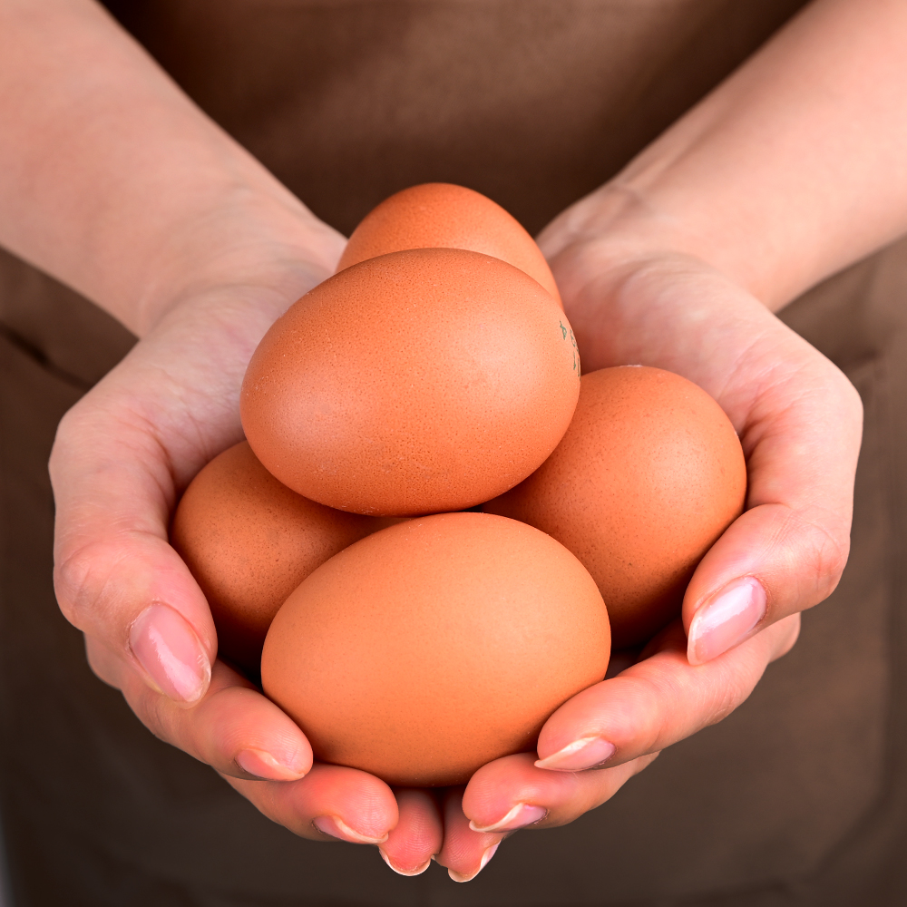 [정기배송] 무항생제 신선 계란 초란 30구 당일생산 출고 [청라상회 ]