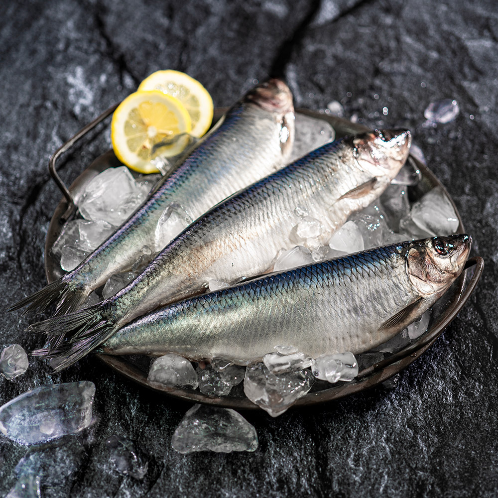청정 해역 자연산 청어 구이용생선 생선조림 5미 1.3kg 내외 대표이미지 섬네일