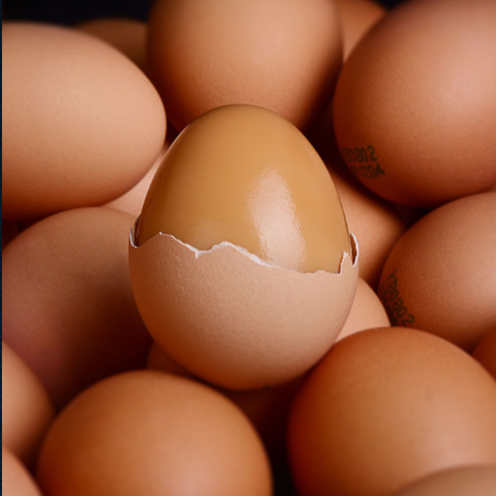 무항생제 구운계란 맥반석 30구 청라상회