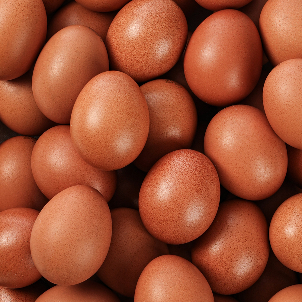 무항생제 구운계란 맥반석 30구 청라상회