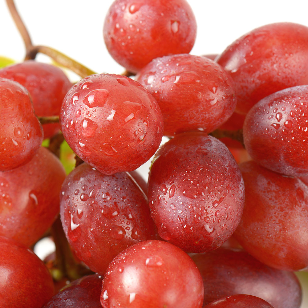 고당도 씨없는 적포도 크림슨포도 800g 1-4팩