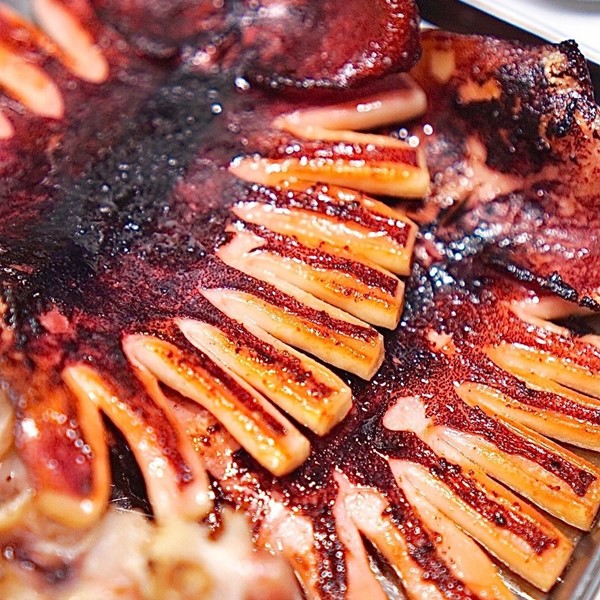 국내산 파지 반건조 오징어 1kg (5~10마리내외)