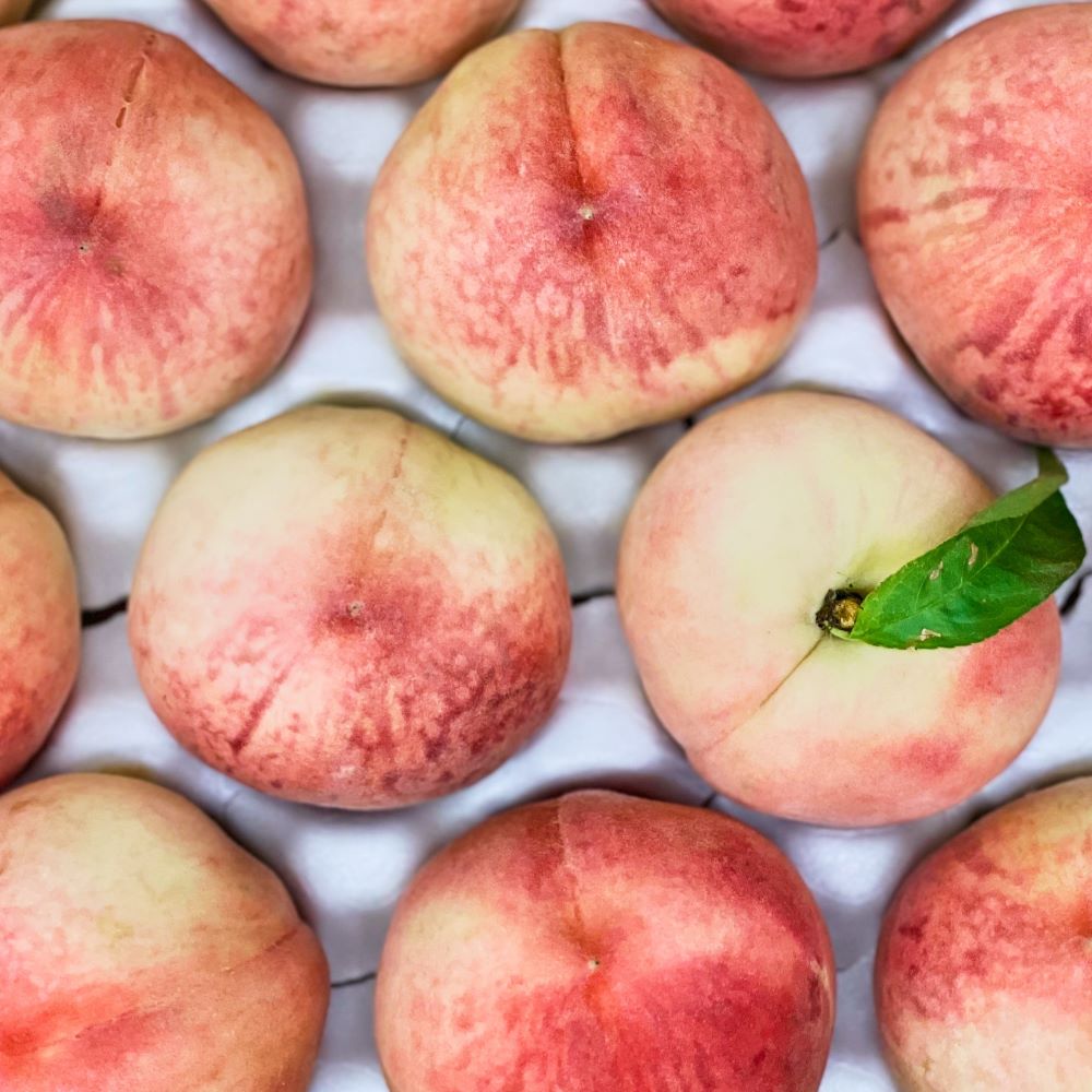 ★예약발송★ 산지직송 아삭하고 달콤한 하우스 털 복숭아 1kg/2kg