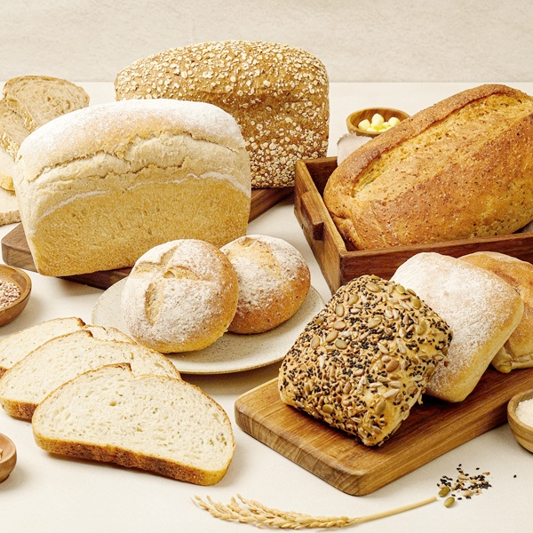 비건 통밀식빵, 통밀잡곡식빵 (흰밀x) 100% 통밀 사용