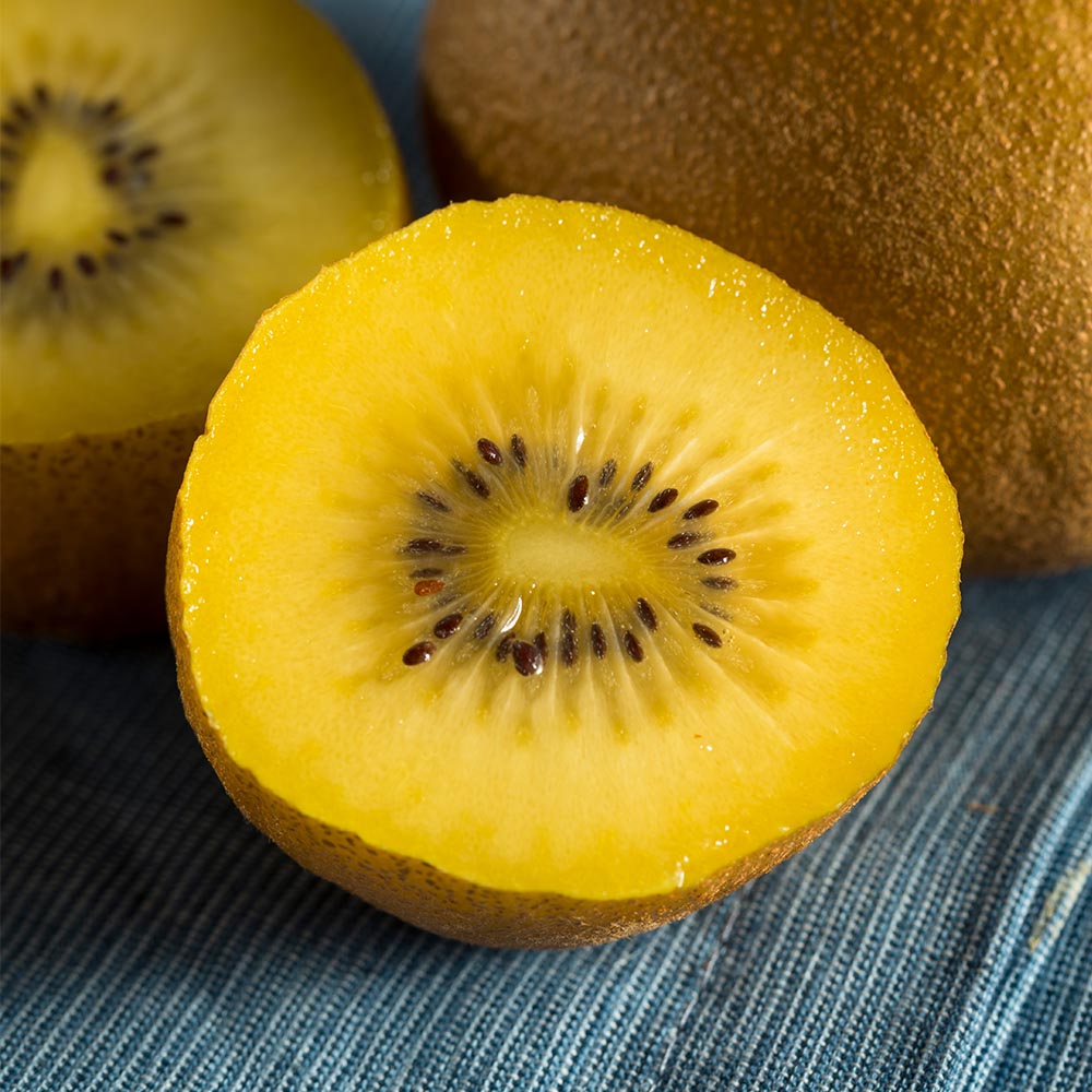 제스프리 골드키위 대과 1개당 100g 내외 1-2kg