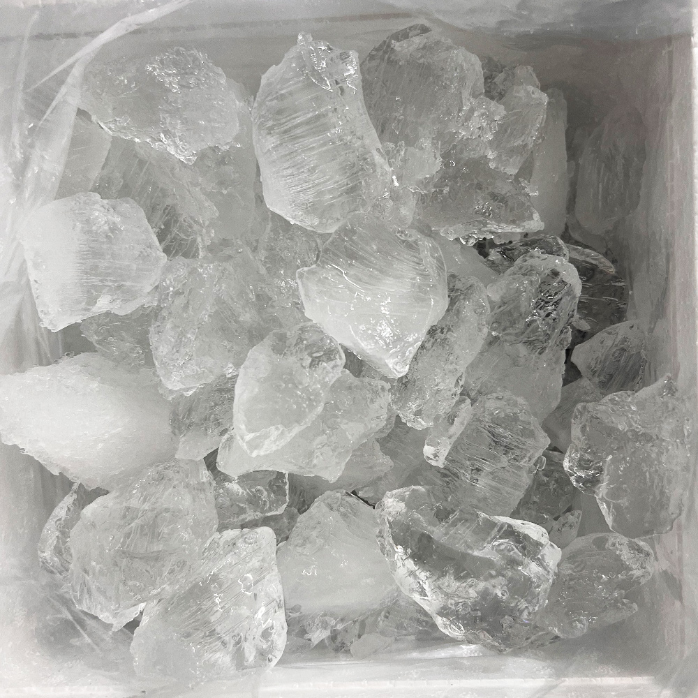 남해 자연산 활 갑오징어 1kg 생물 회 당일조업 국내산 제철 산오징어 숙회 통찜