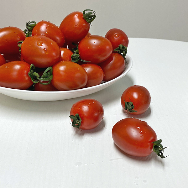 새콤달콤 대추 방울 토마토 2kg 5kg 소과 중과 대과