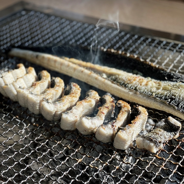 [고창출발] 풍천장어 100% 품질보증 기운센 불끈불끈 전북 고창 민물장어 1KG (손질전)