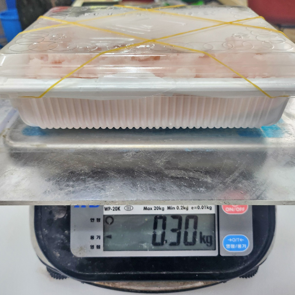 자연산 남해 갯장어 하모회 손질후 300g 하모 샤브샤브 구이