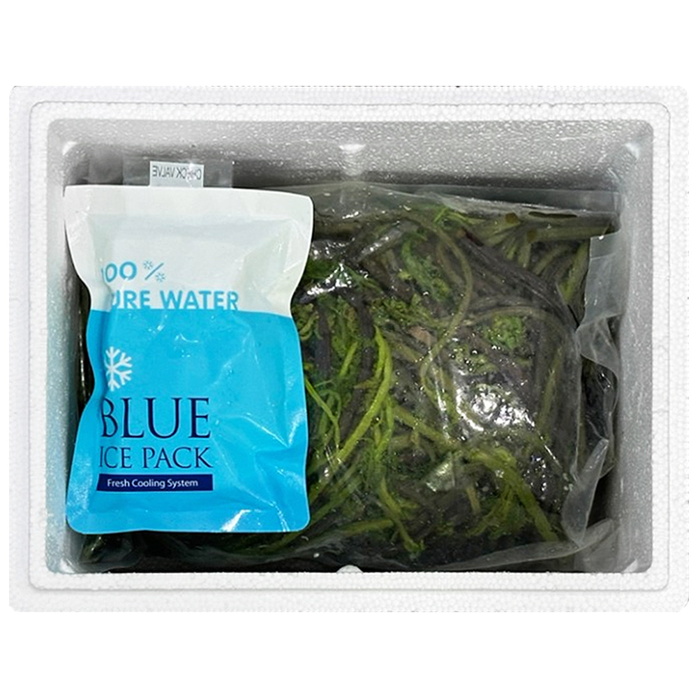 국내산 삶은 햇고사리 1kg 자연산 데친고사리 야생 산나물 삶은나물 냉동