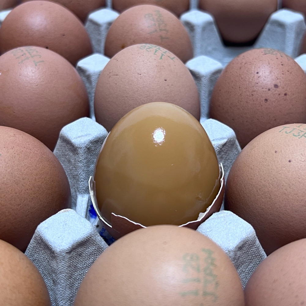 구운계란 HACCP 부활절 달걀 맥반석계란 구운란 훈제계란 30구