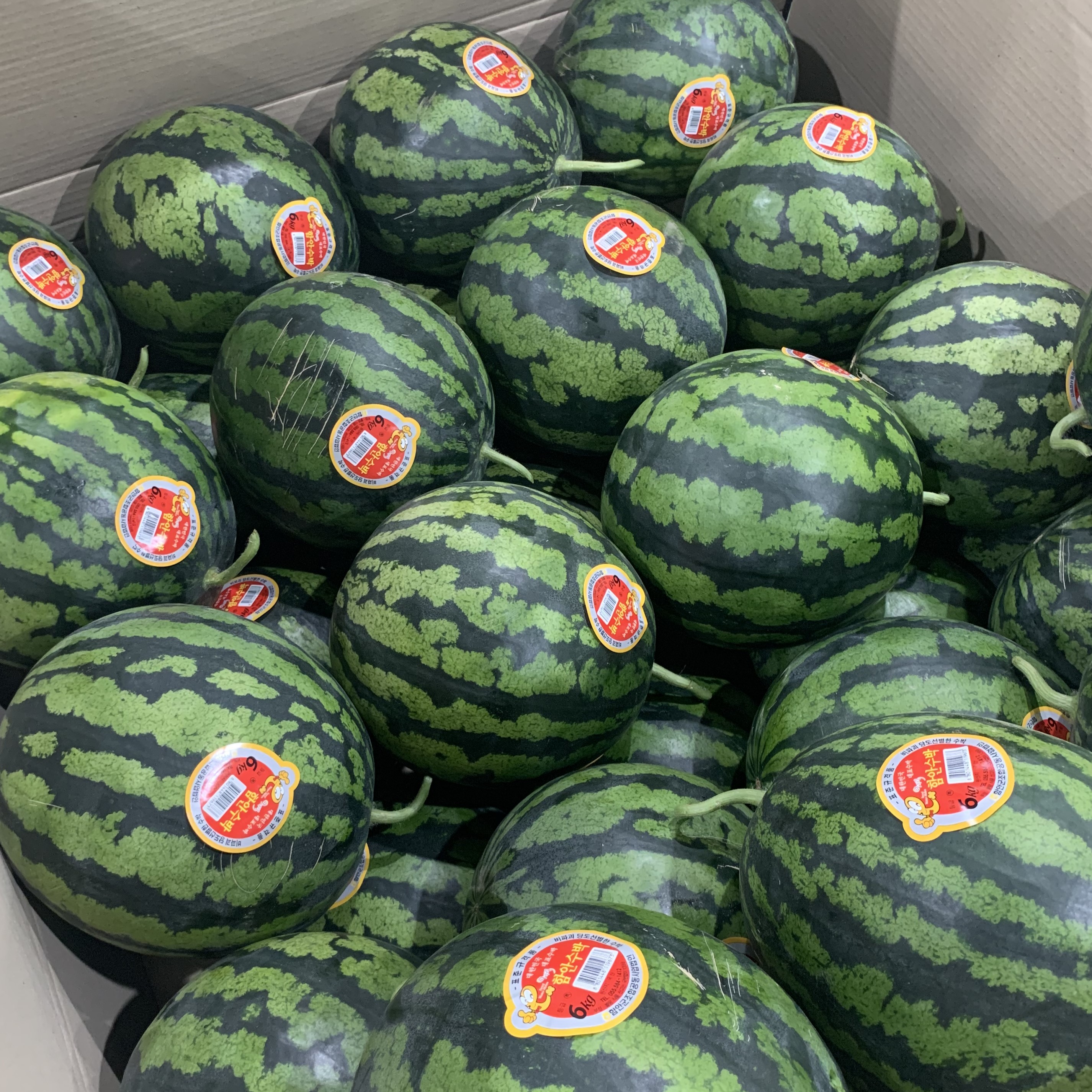 고당도 수박 함안 흑수박 하우스수박 꿀수박 3kg/4kg/5kg/6kg