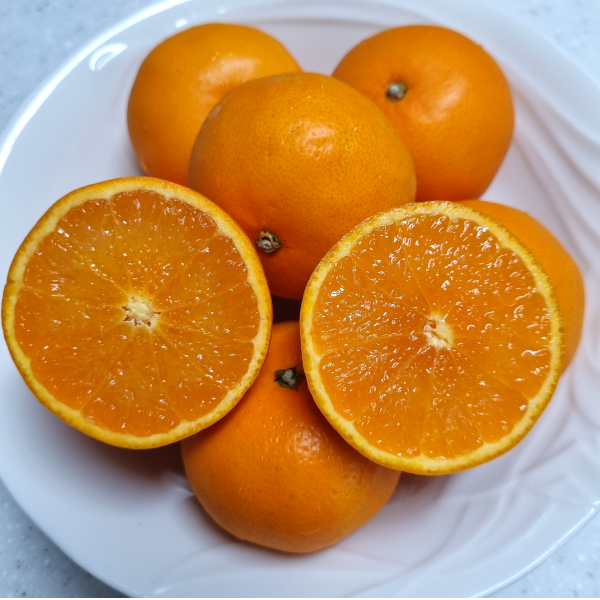 다오소 새콤달콤 고당도 제주 하우스 감귤