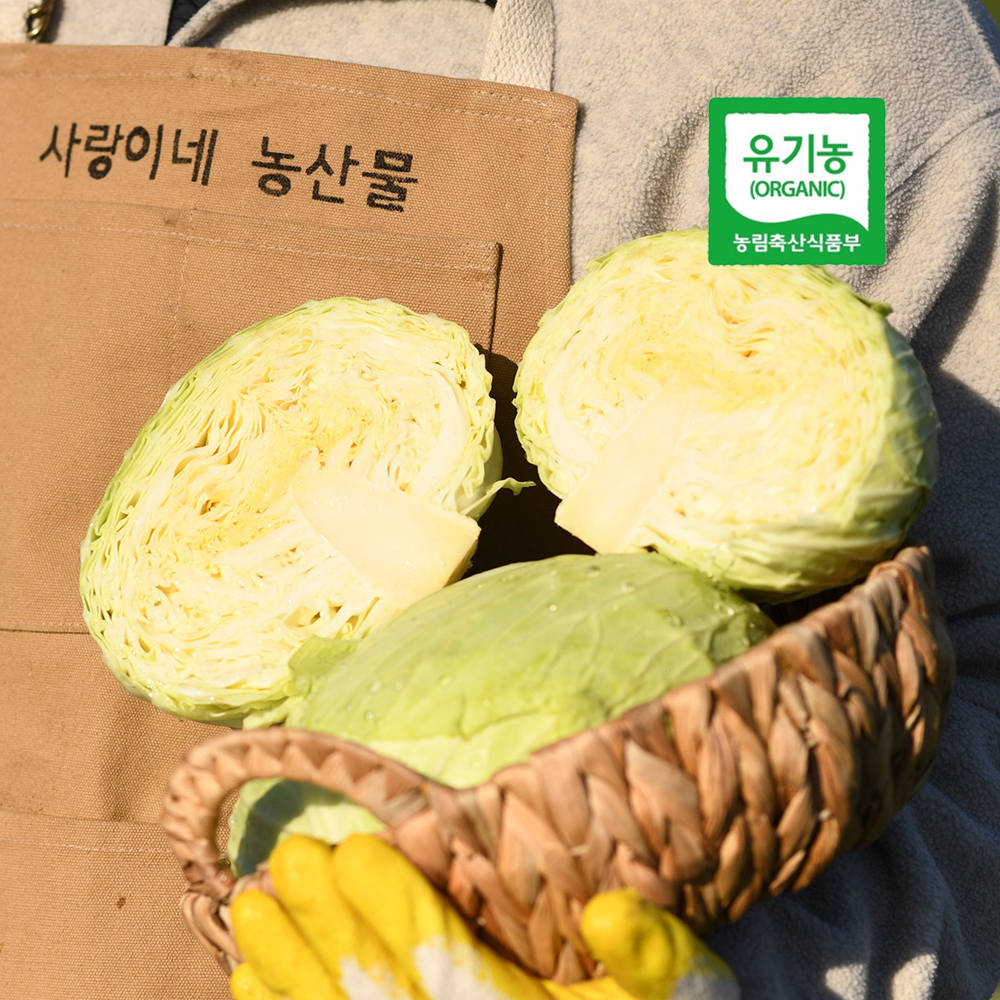 [6/3예약배송] 제주 산지직송 양배추 유기농양배추 제주양배추 3kg/6kg