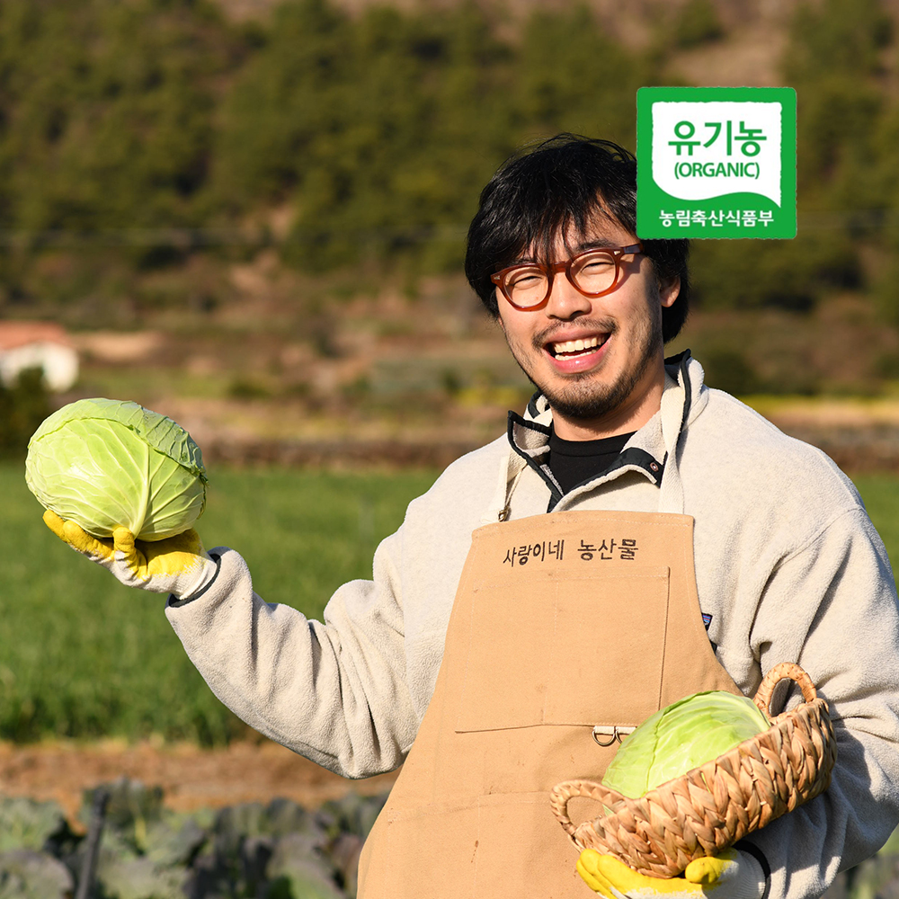 [6/3예약배송] 제주 산지직송 양배추 유기농양배추 제주양배추 3kg/6kg