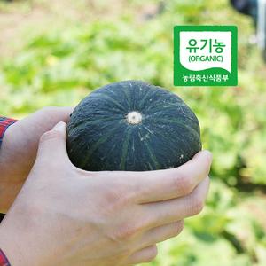 [6/10예약배송] 제주 산지직송 밤호박 미니단호박 단호박제철 유기농 제주 보우짱 3kg/5kg/10kg 대표이미지 섬네일