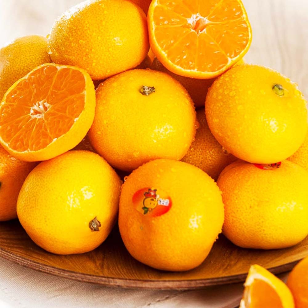 국내산 제주도 하우스 감귤 대과 2.5kg 4.5kg