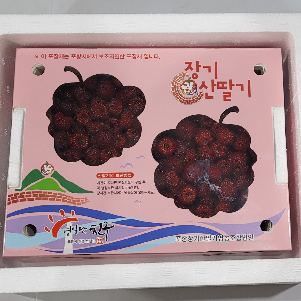 포장 장기면 고당도 제철 흑 산딸기 생과 1kg 2kg