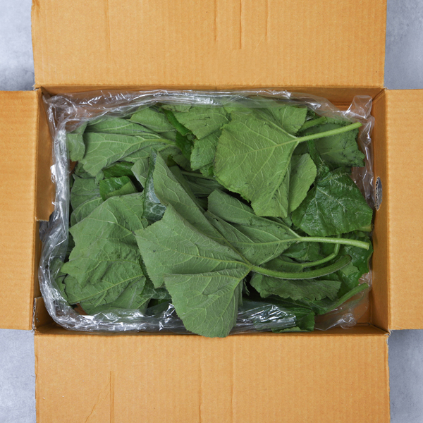 호박잎 500g 1kg