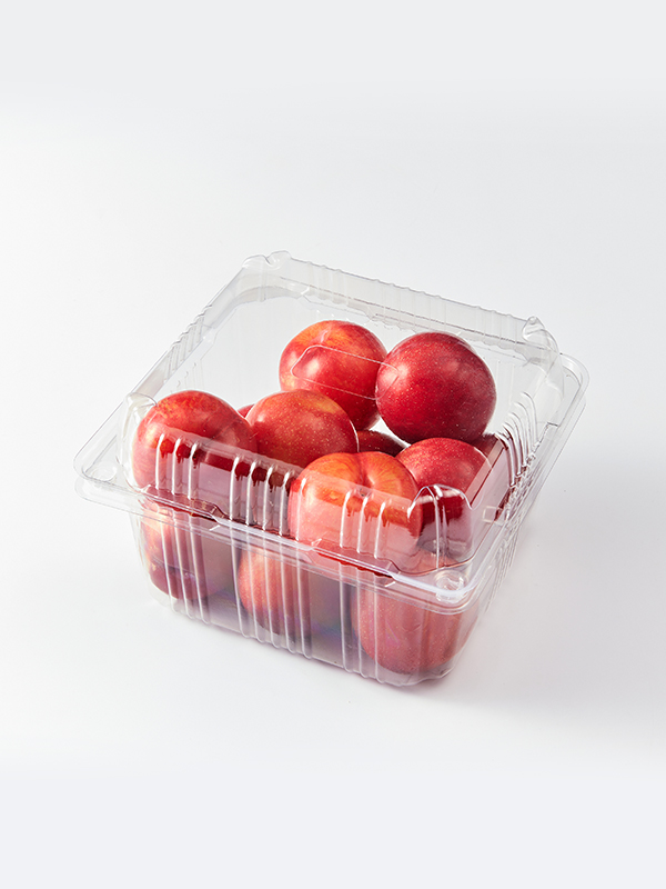 GAP 자두(800g)