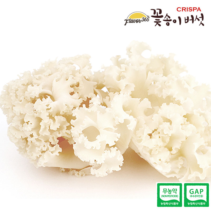 베타글루칸이 풍부한 무농약 꽃송이 버섯 (100g | 300g | 1kg, 3종)