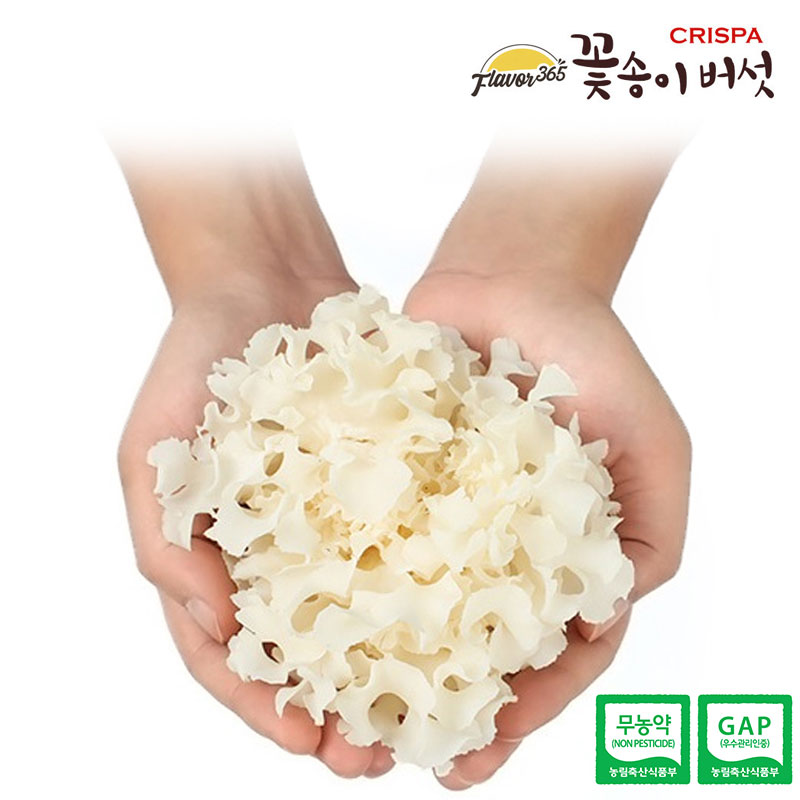 베타글루칸이 풍부한 무농약 꽃송이 버섯 (100g | 300g | 1kg, 3종)