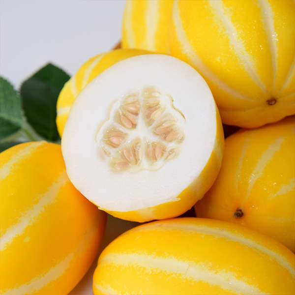 [햇참외] 경북 꿀당도 성주 참외 (가정용/선물용)