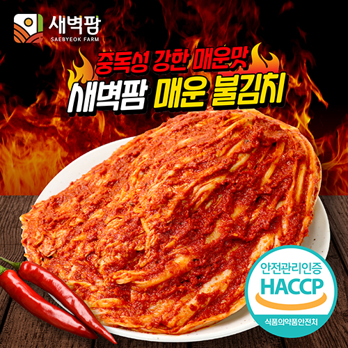 새벽팜 매운 불김치 1kg 전라도김치 참매실 배추 실비김치