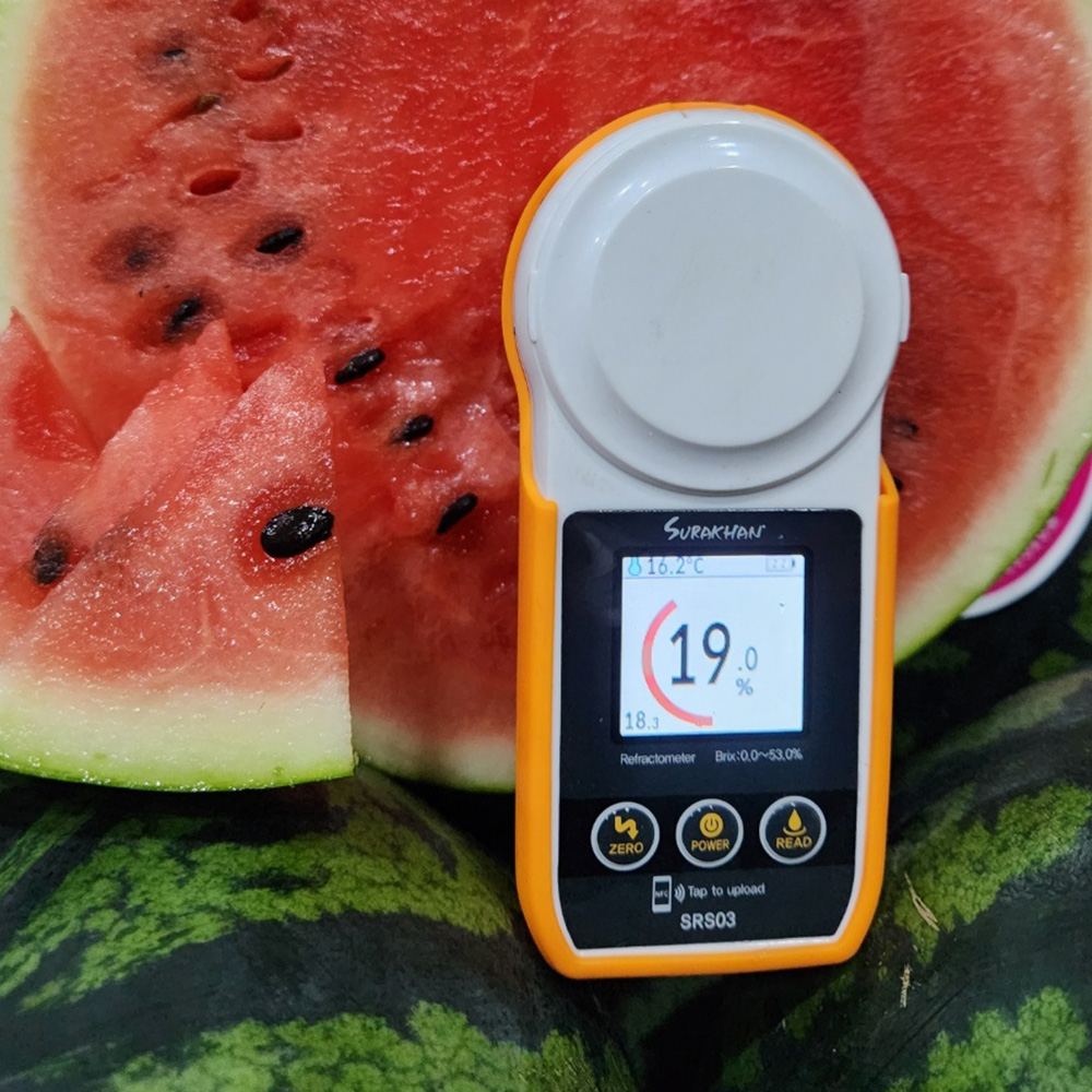 고당도 보장 스테비아 꿀 수박 5kg/7kg