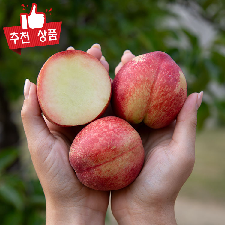 농협상품 천도 복숭아 뺀질이 신비복숭아 로얄과 중소과