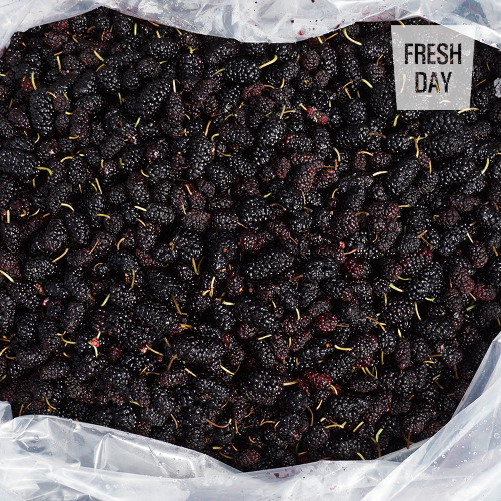 당도으뜸 고창 토종 오디 생과 상품