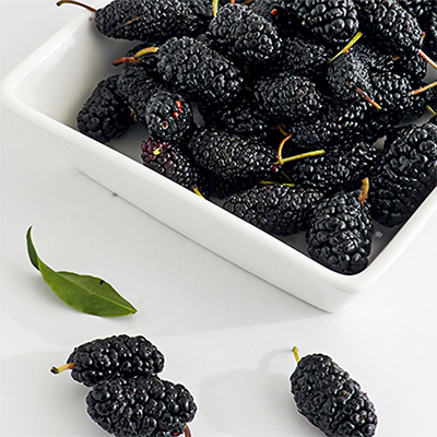 [탱글탱글] 25 뽕 햇 오디 청일오디 과상 품종 1kg ~ 10kg 대표이미지 섬네일