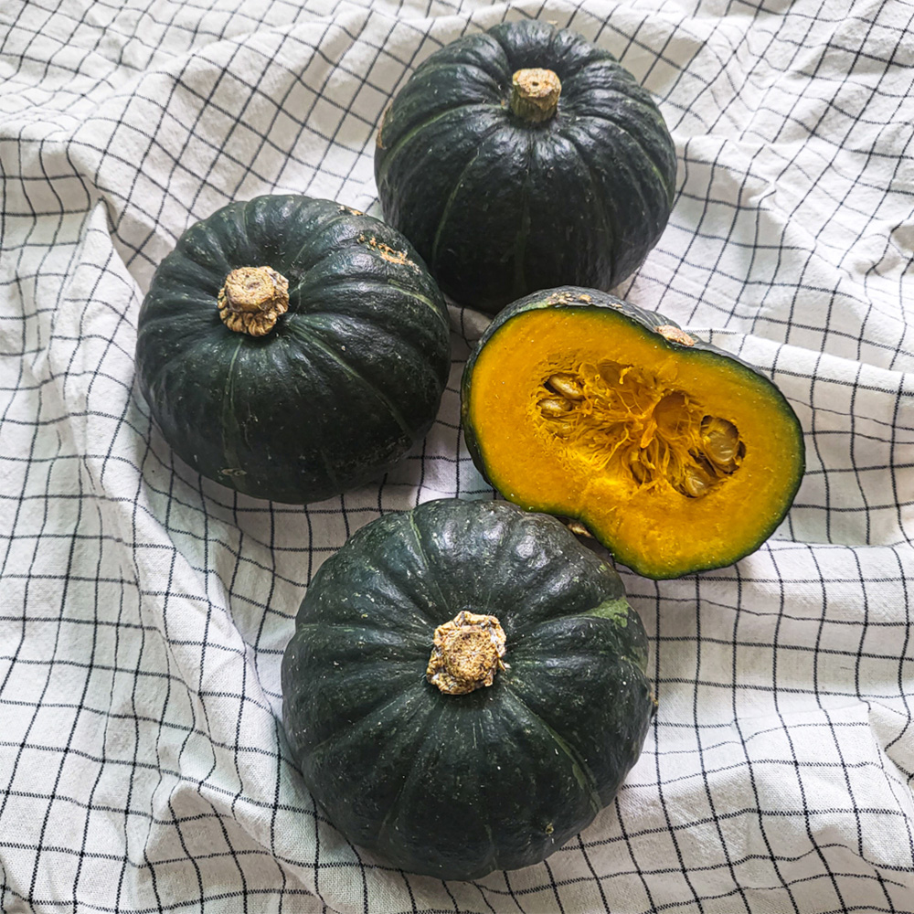 맛있는 미니 밤호박 제주에서 직접 배송해드려요