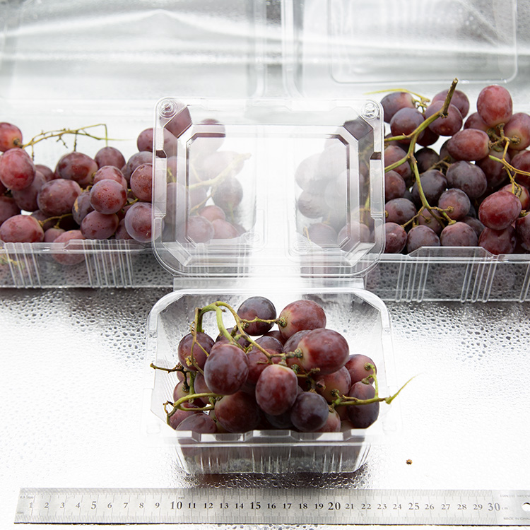 아삭한 수입산 거봉포도 새콤달콤 레드글로브 포도