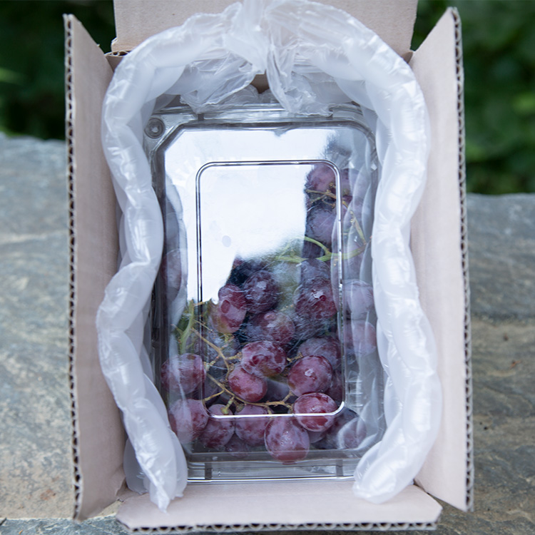 아삭한 수입산 거봉포도 새콤달콤 레드글로브 포도