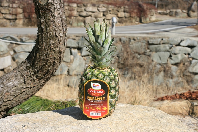 정품 Dole 파인애플 스위티오 돌파인애플 중소과