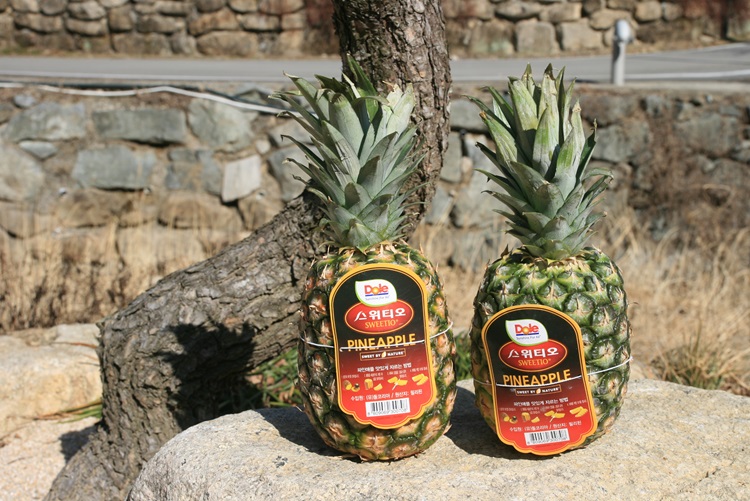 정품 Dole 파인애플 스위티오 돌파인애플 중소과