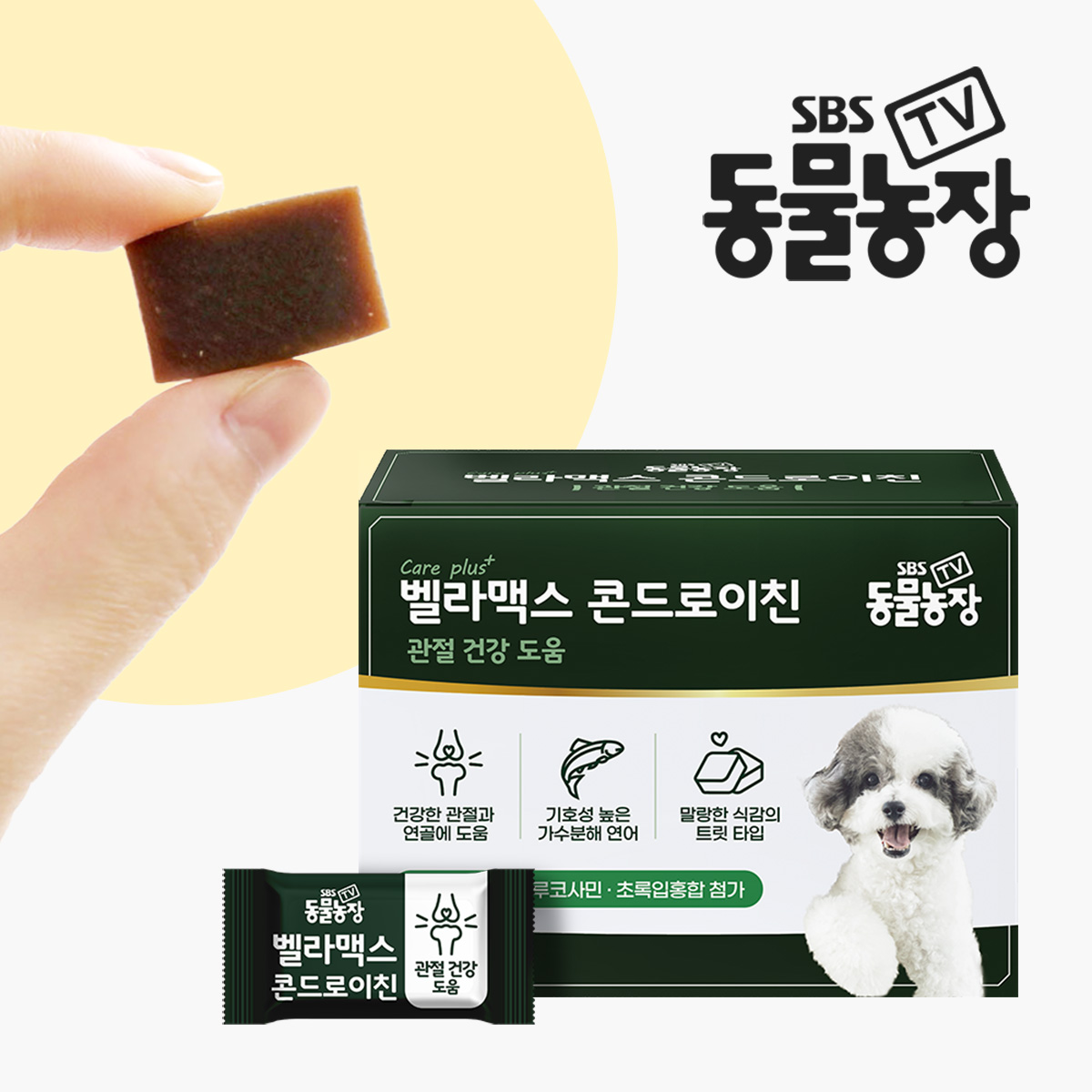 SBS TV 동물농장 콘드로이친 강아지 관절 슬개골 영양제