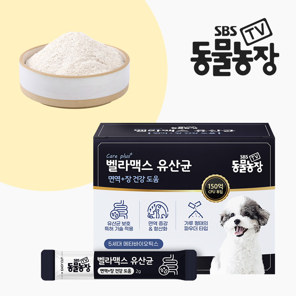 SBS TV 동물농장 유산균 강아지 장 건강 면역력 영양제