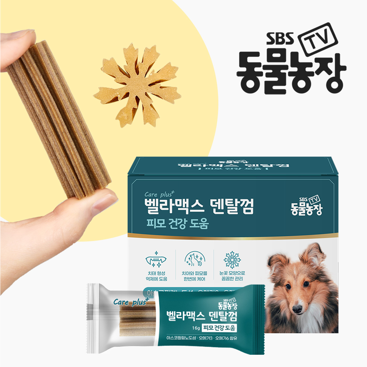 SBS TV 동물농장 덴탈껌 강아지 치석 양치 입냄새 제거