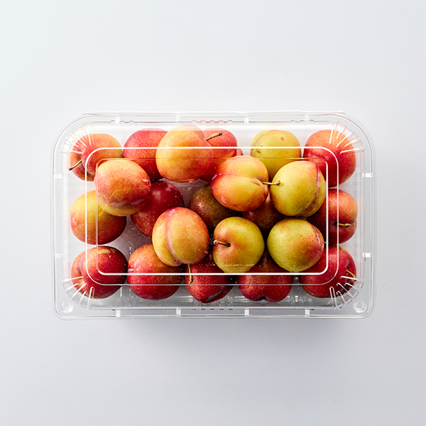 GAP 꼬마 대석자두 800g