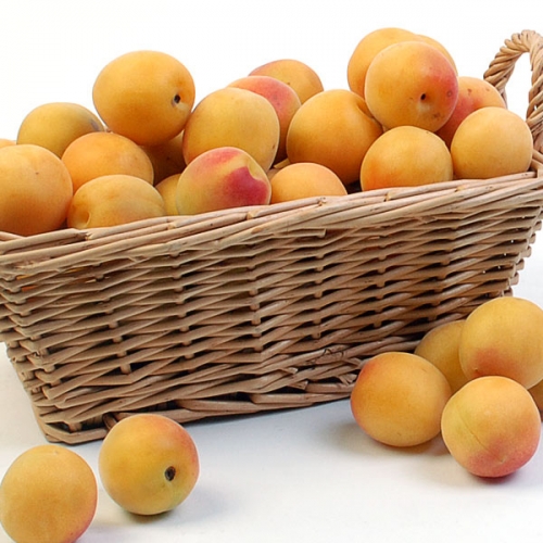 두레_홍매실(남고) 5kg(소) 외 3종