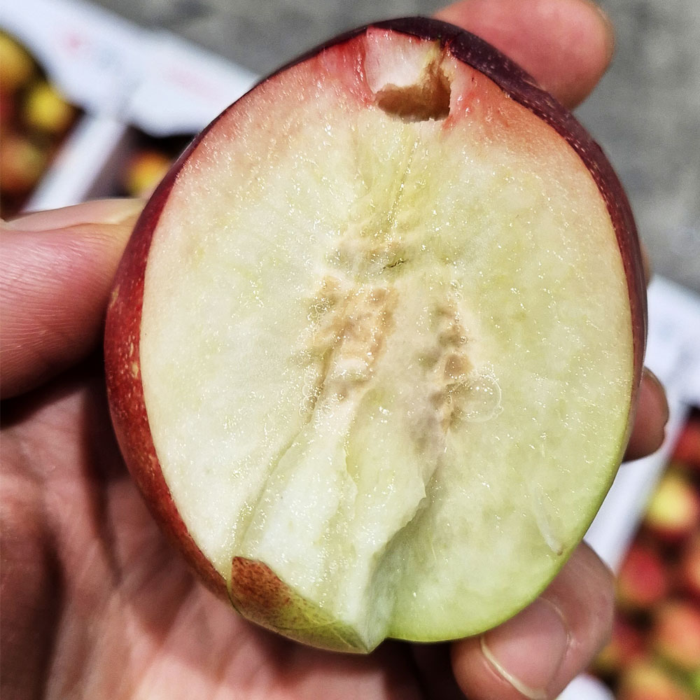 아삭달콤 제철 신비복숭아 [2kg/4kg]